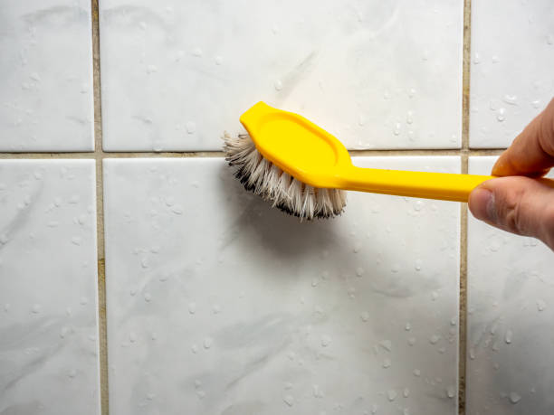 Best Mold Cleaning Services  in Spring Lake Heights, NJ