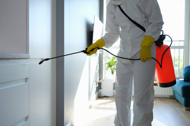 Best Crawl Space Mold Removal  in Spring Lake Heights, NJ