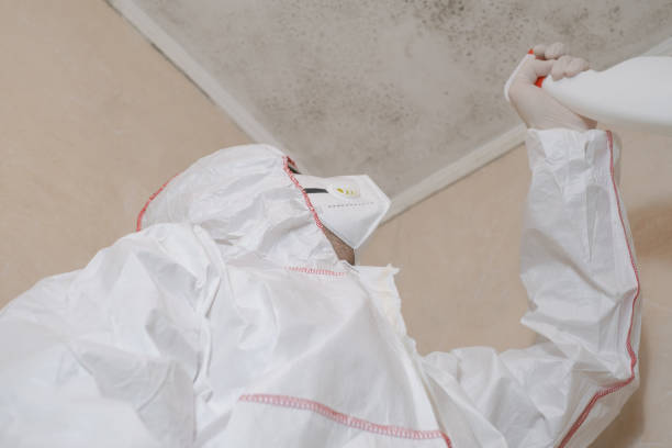 Best Fast Mold Removal  in Spring Lake Heights, NJ